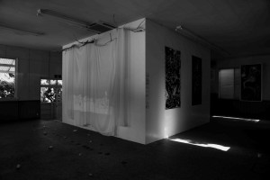 monoIMG_6067